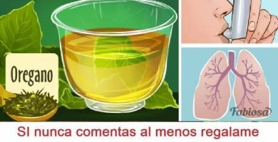 te de oregano